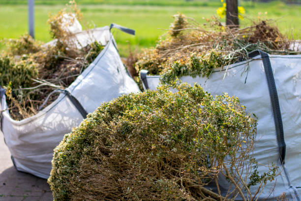 Best Dumpster Rental Services  in Chatsworth, GA